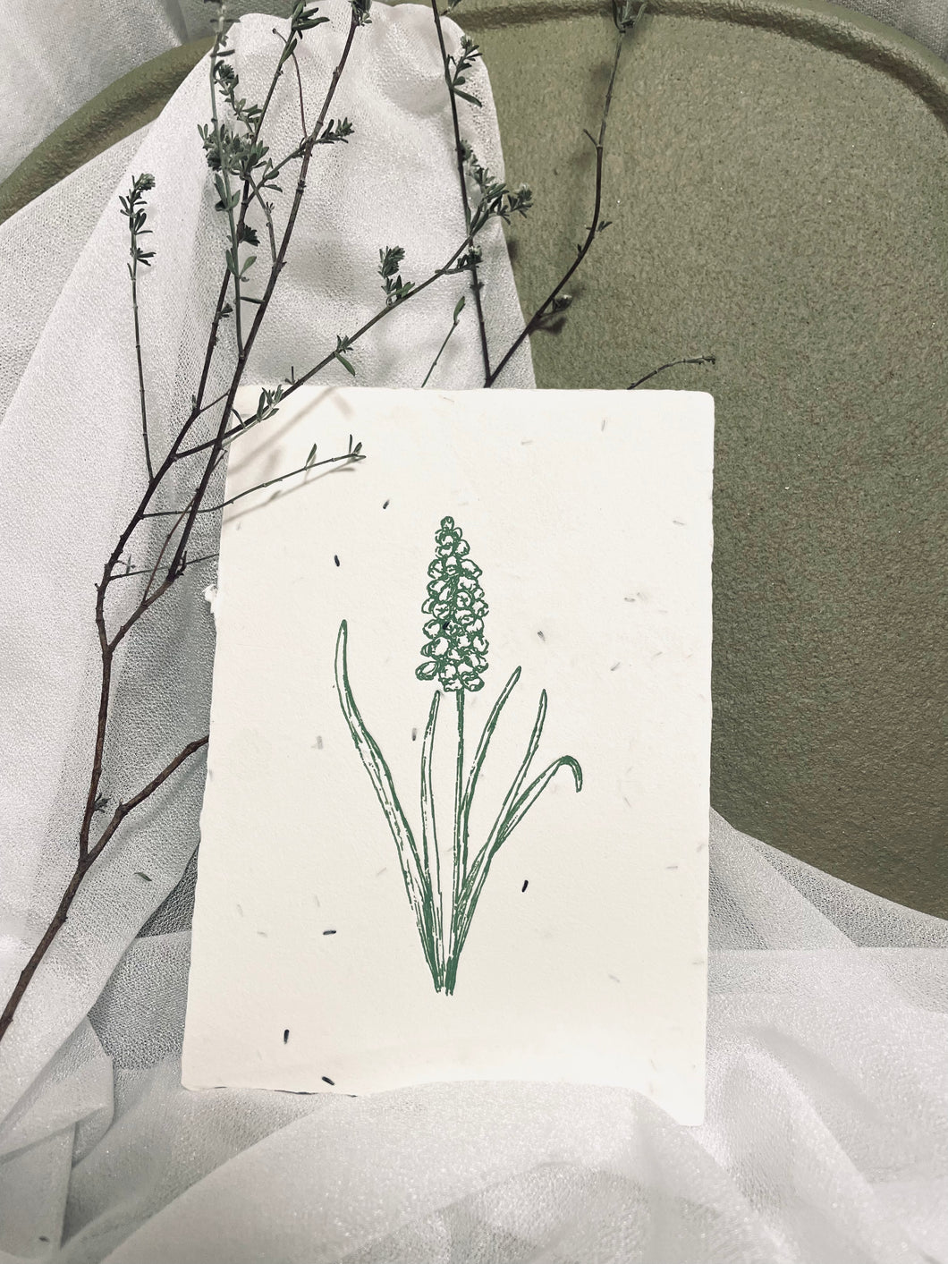 ,,muscari'' Saatgutkarte